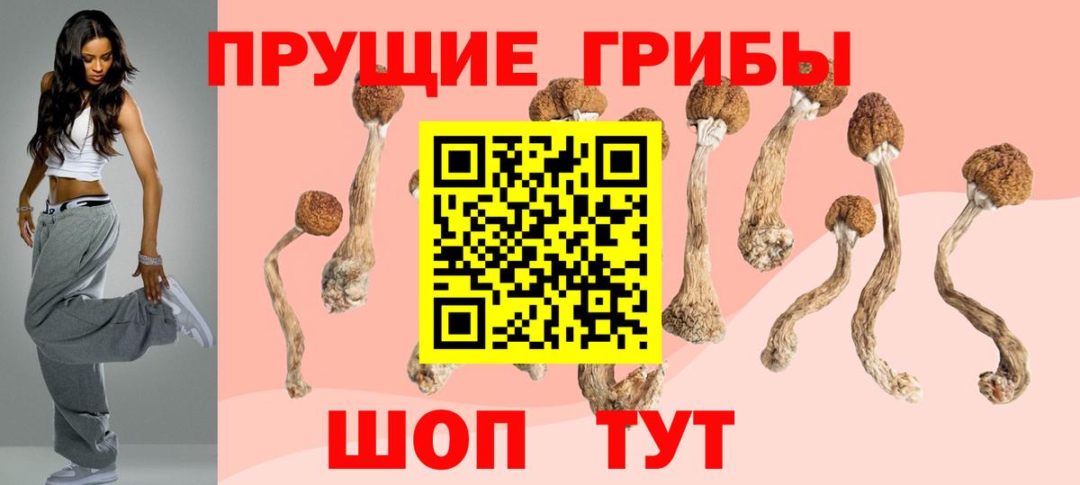 Псилоцибиновые грибы мухоморы Урюпинск